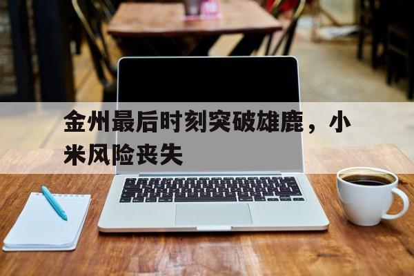 金州最后时刻突破雄鹿，小米风险丧失的简单介绍